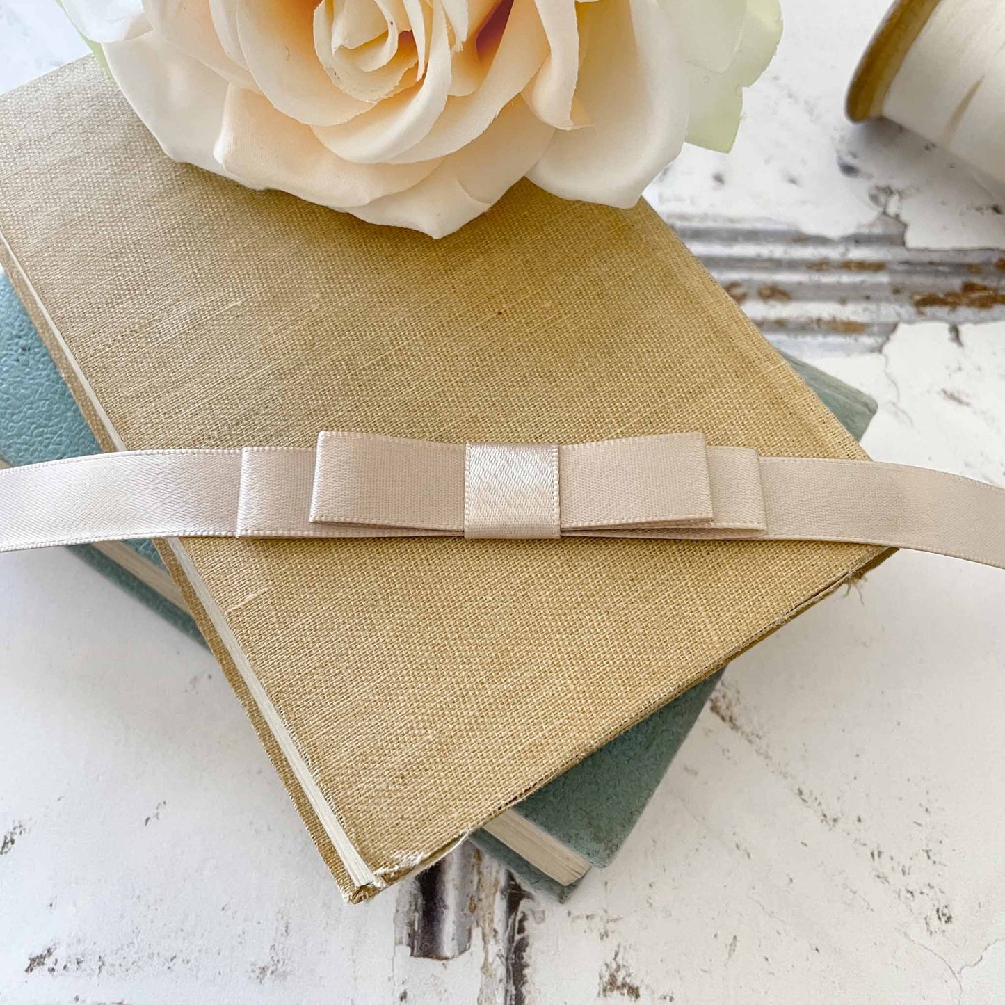 Dior Bow - Taupe - Winterberries