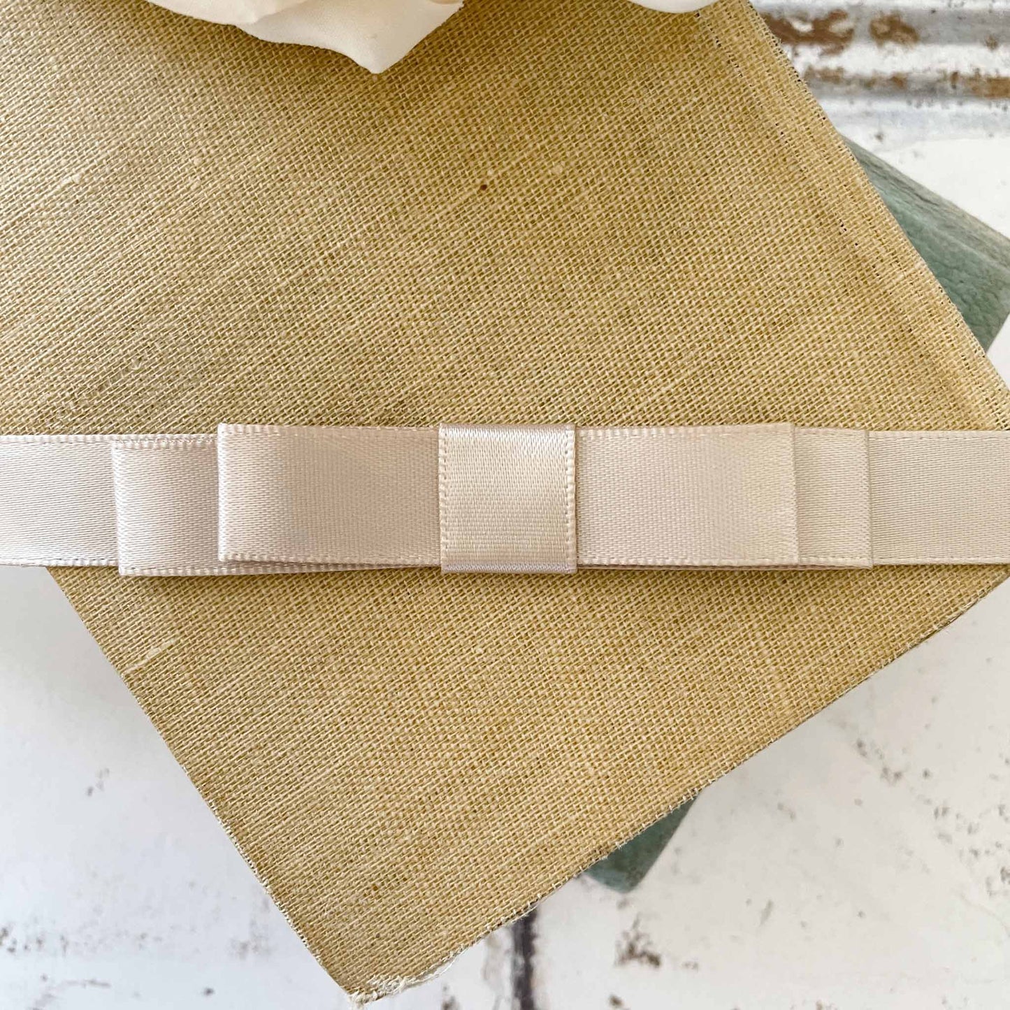 Dior Bow - Taupe - Winterberries