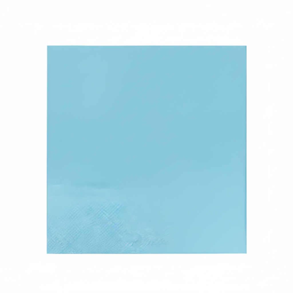 x24 SOLID PAPER NAPKINS - Winterberries